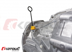 Oil dipstick screw